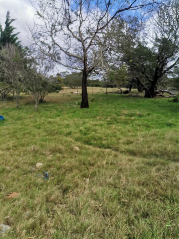 0 Bedroom Property for Sale in Albertinia Western Cape